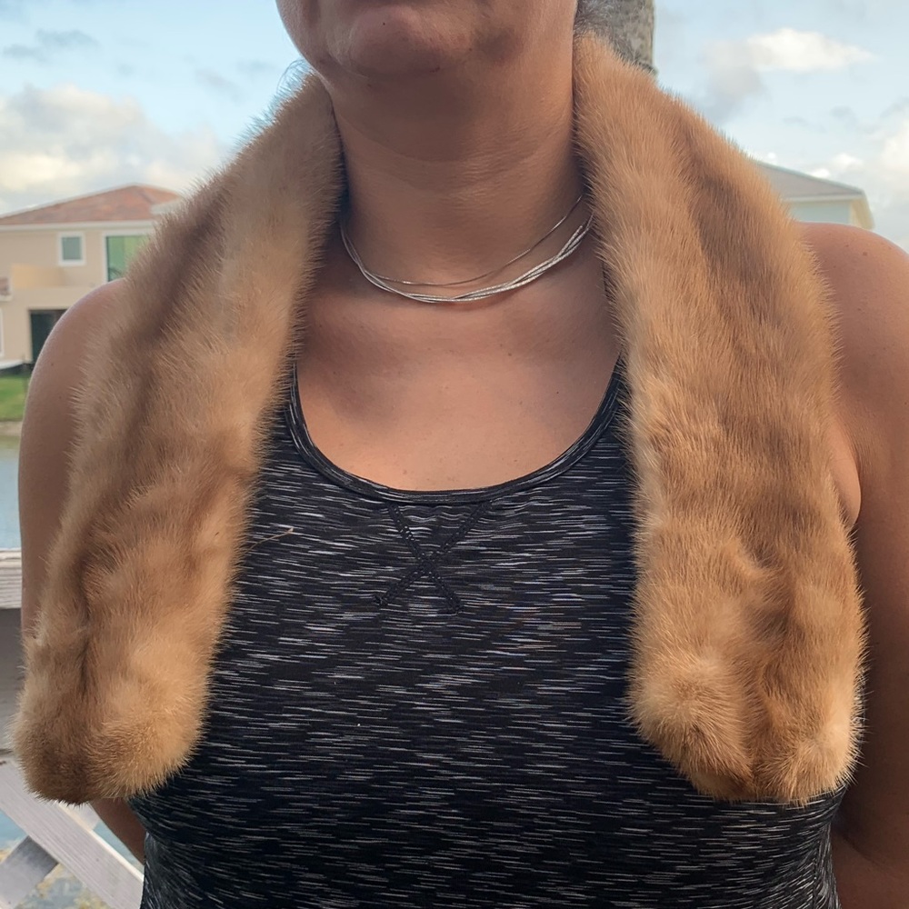 Mink or Sable Collar, Vintage